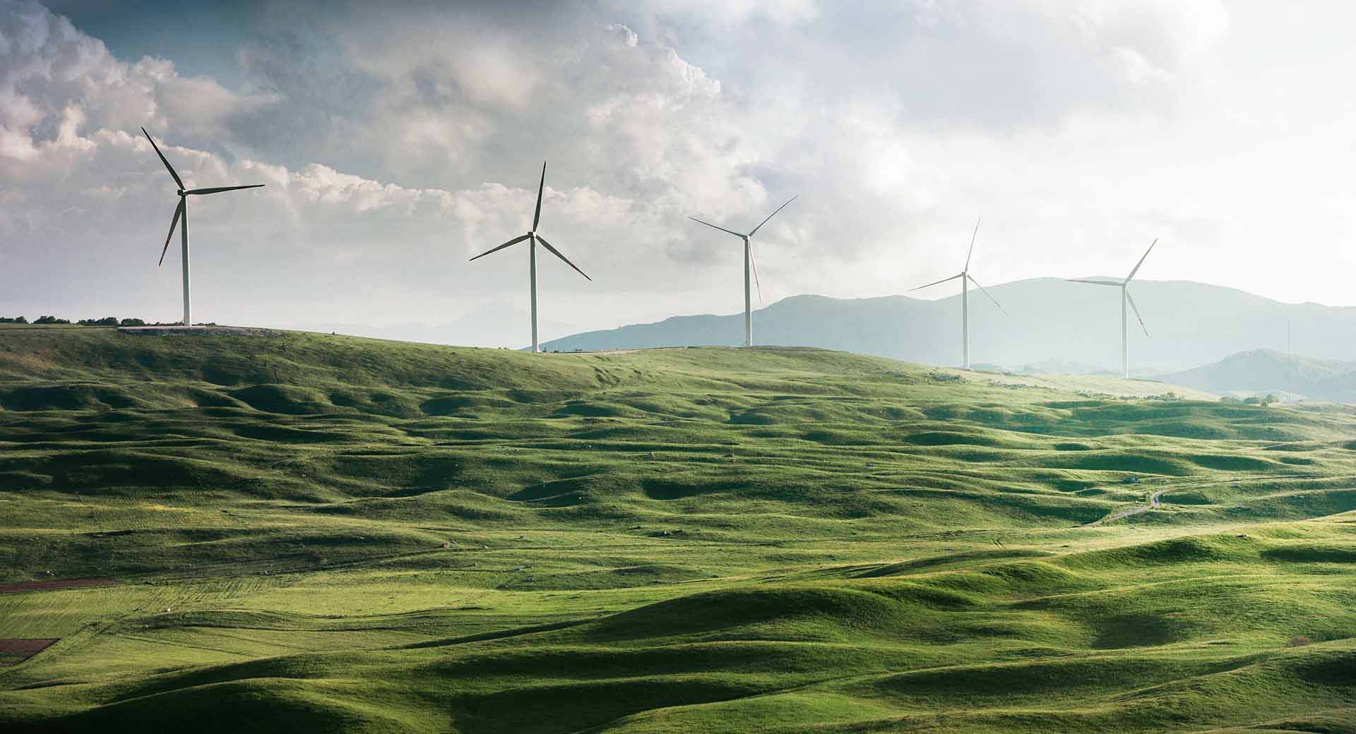 Crux provide sustainable web solutions with a 100% renewable energy server hosting